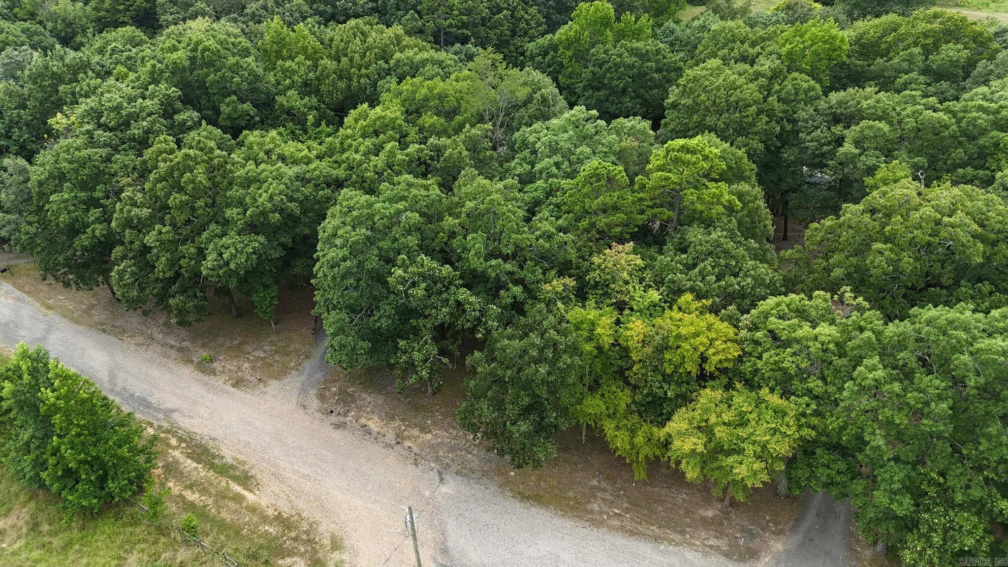 Property at 123  Polk road 753 - Image 47