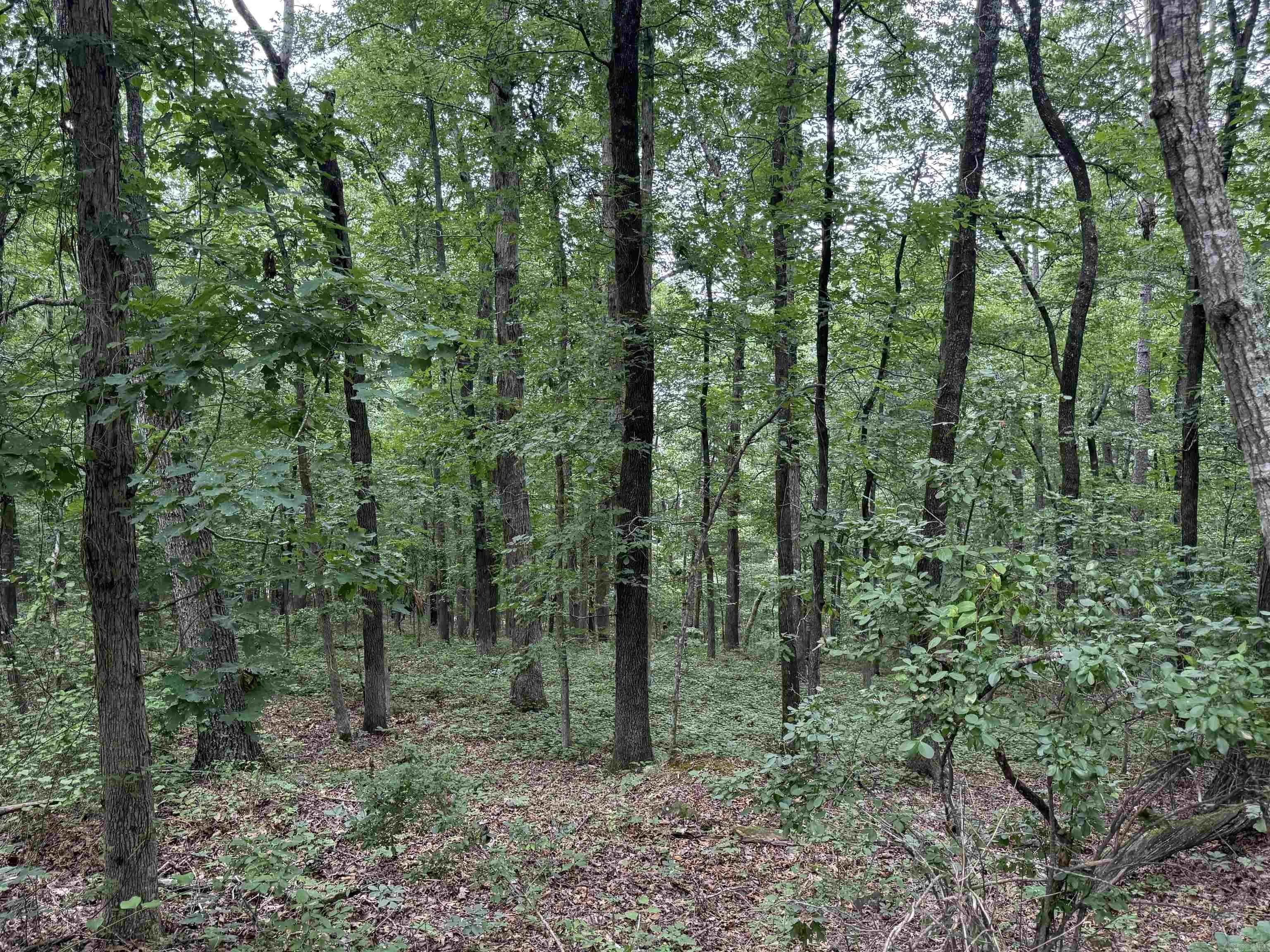 Property at Pine - Image 2