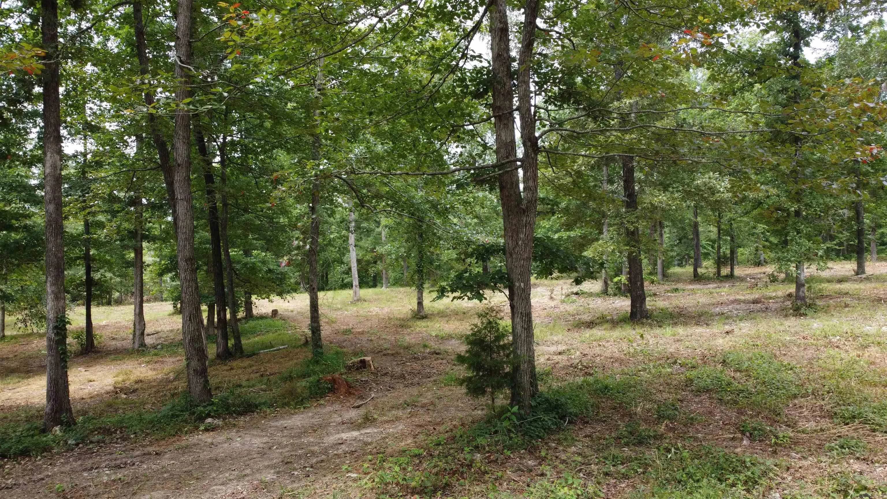 Property at 595  Lancaster - Image 12