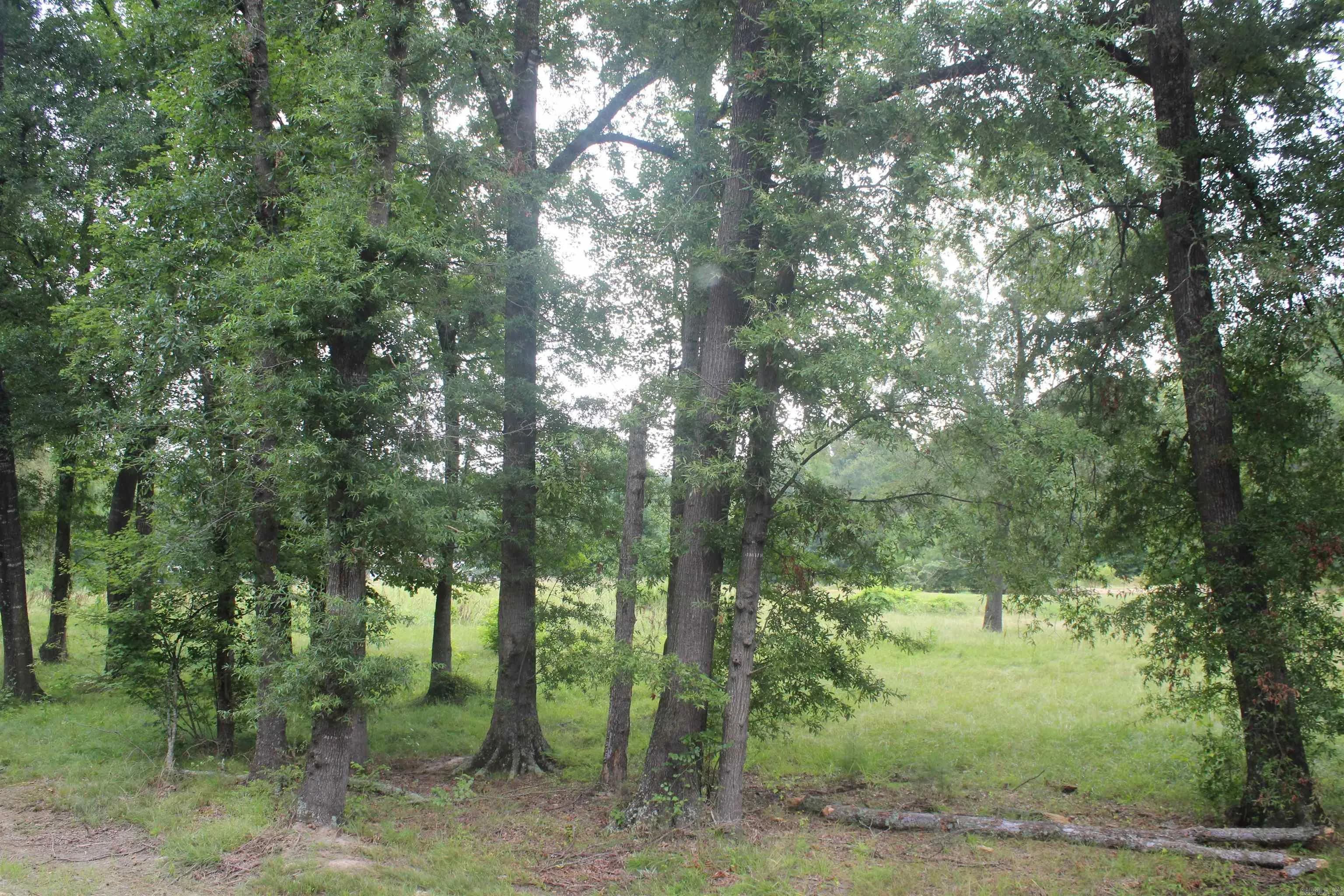 Property at 332  North park - Image 15
