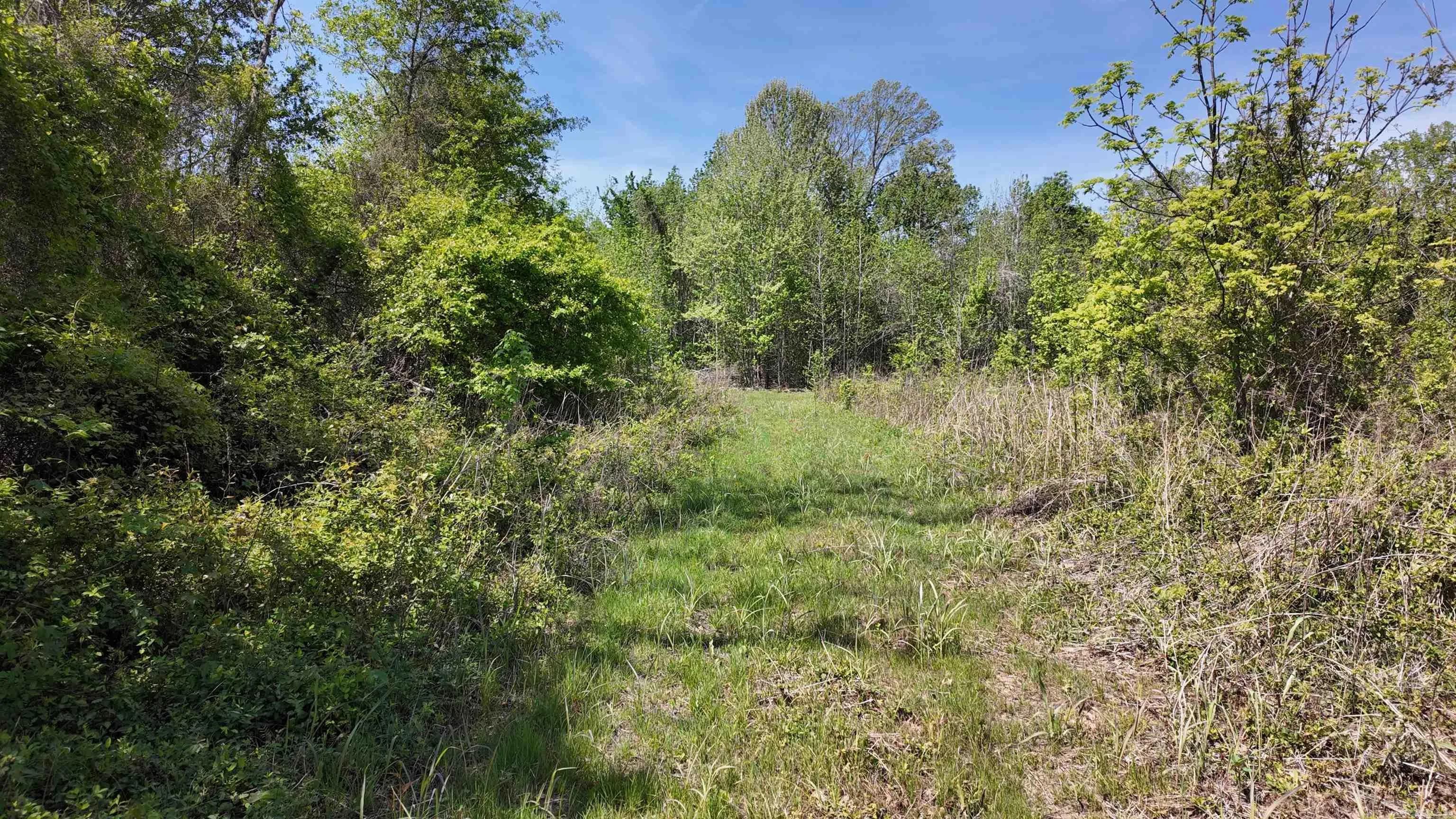 Property at 3225  Loop rd - Image 28