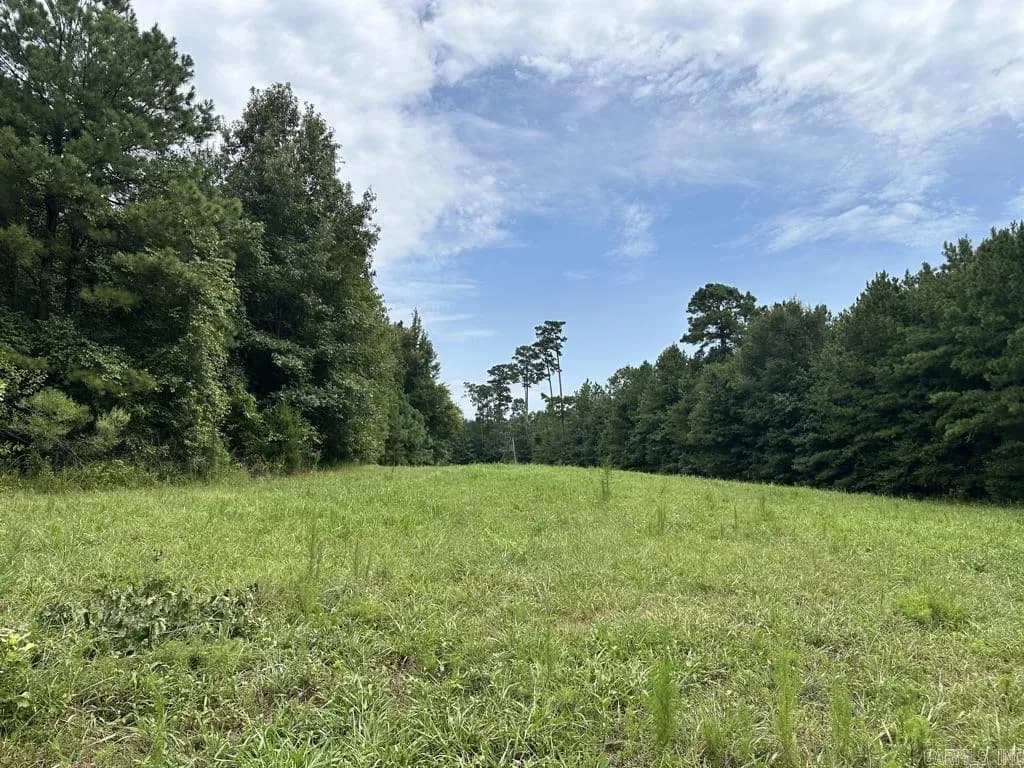 Property at 000  Hwy 98 south - Image 36