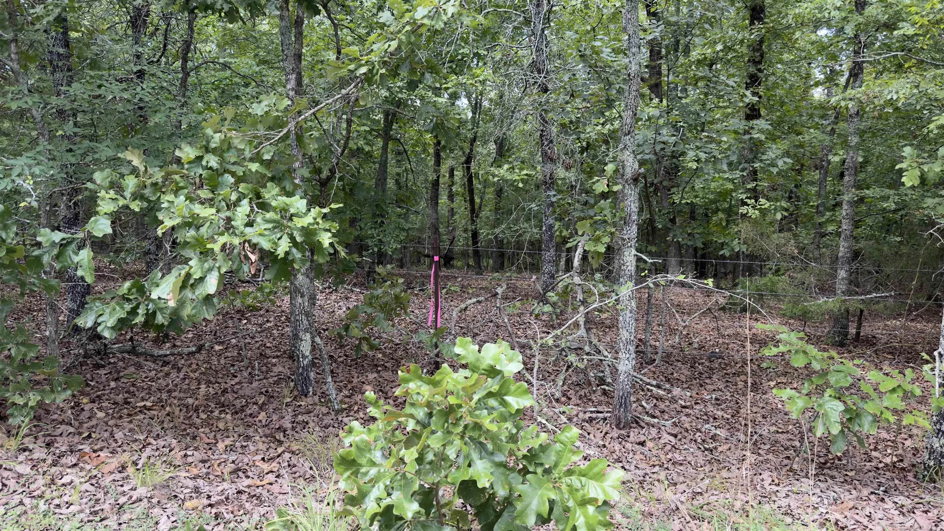 Property at 00 E Cricket - Image 3