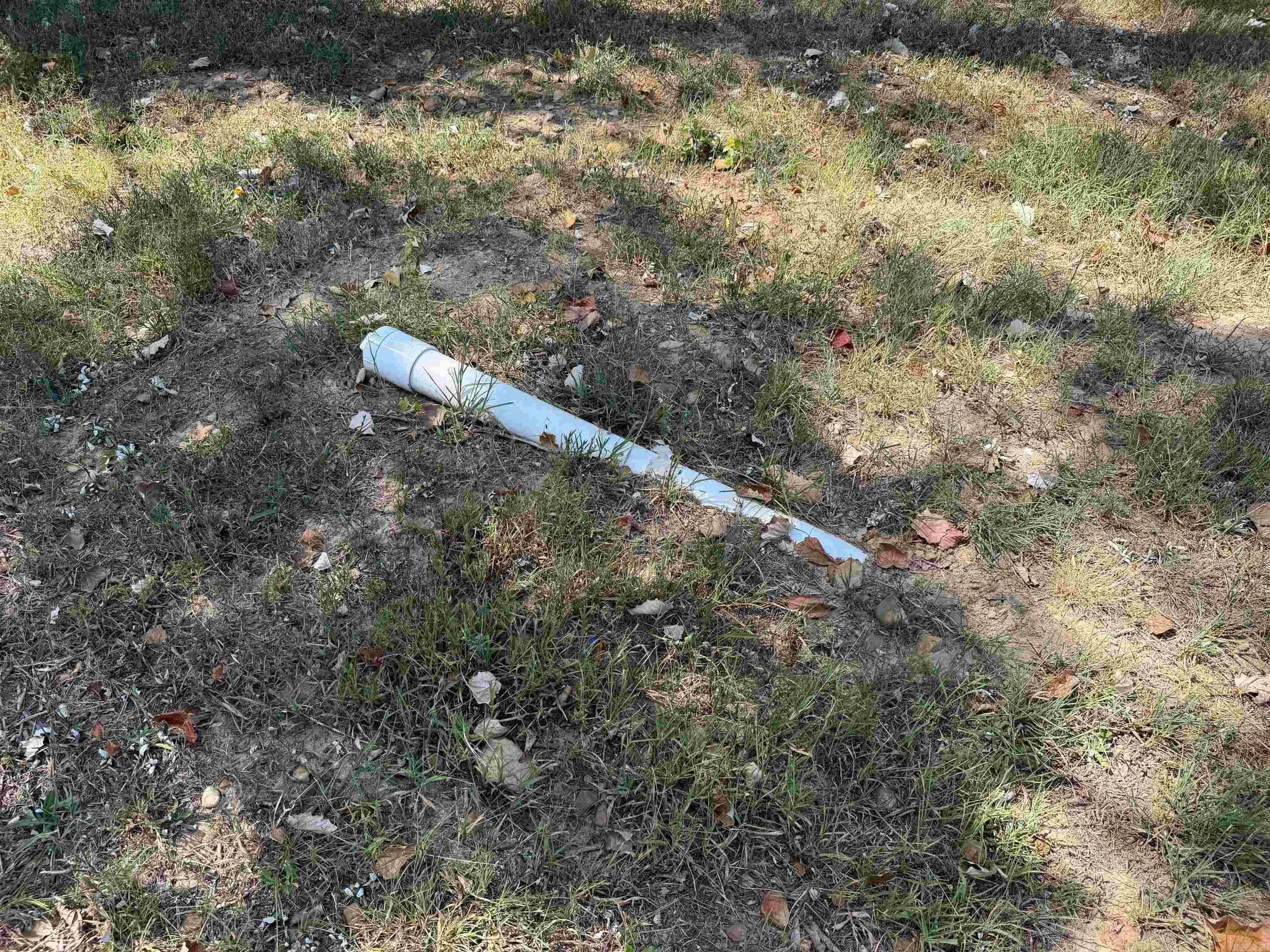 Property at 1008  Oak st. - Image 5