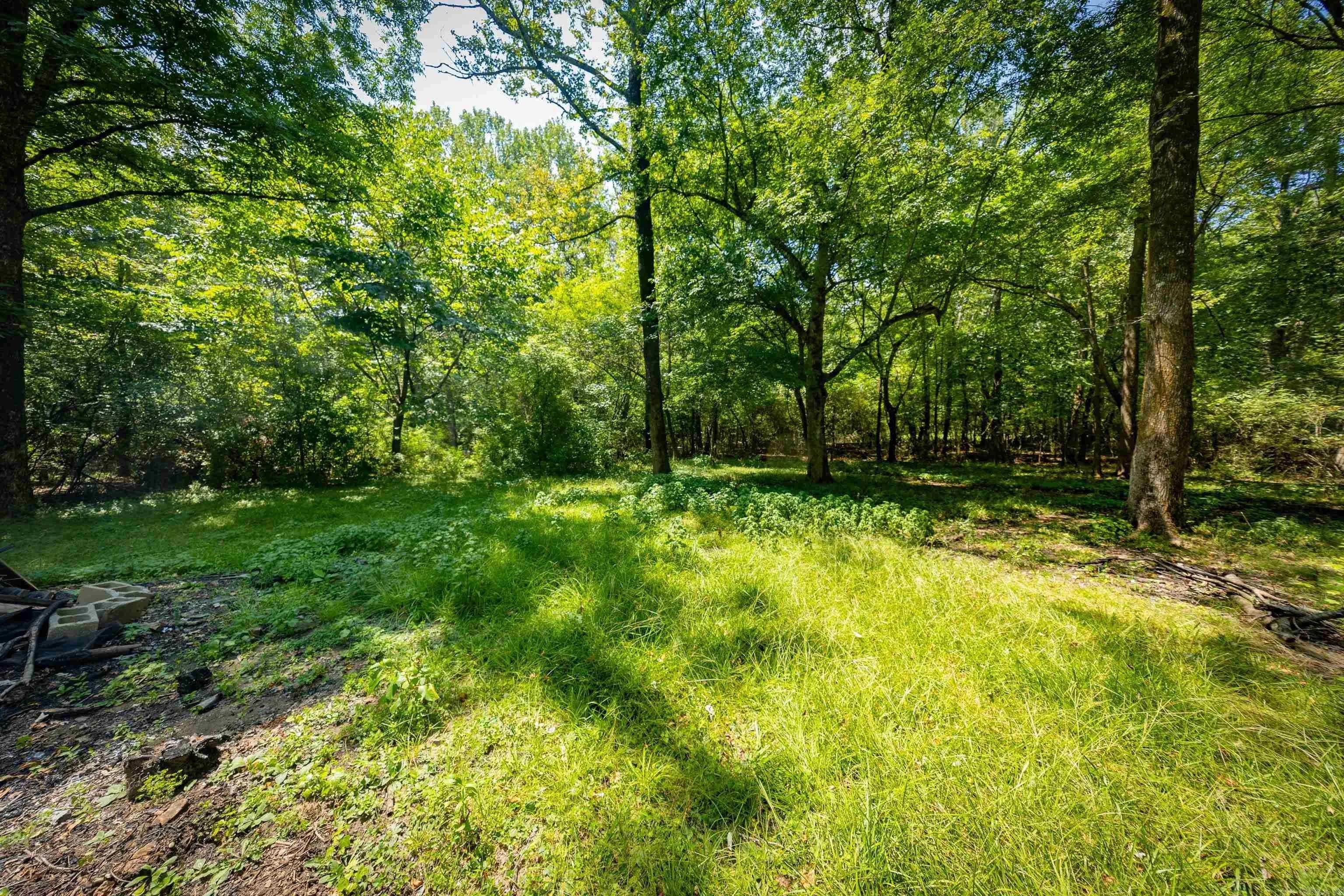 Property at 20571  Congo ferndale - Image 19