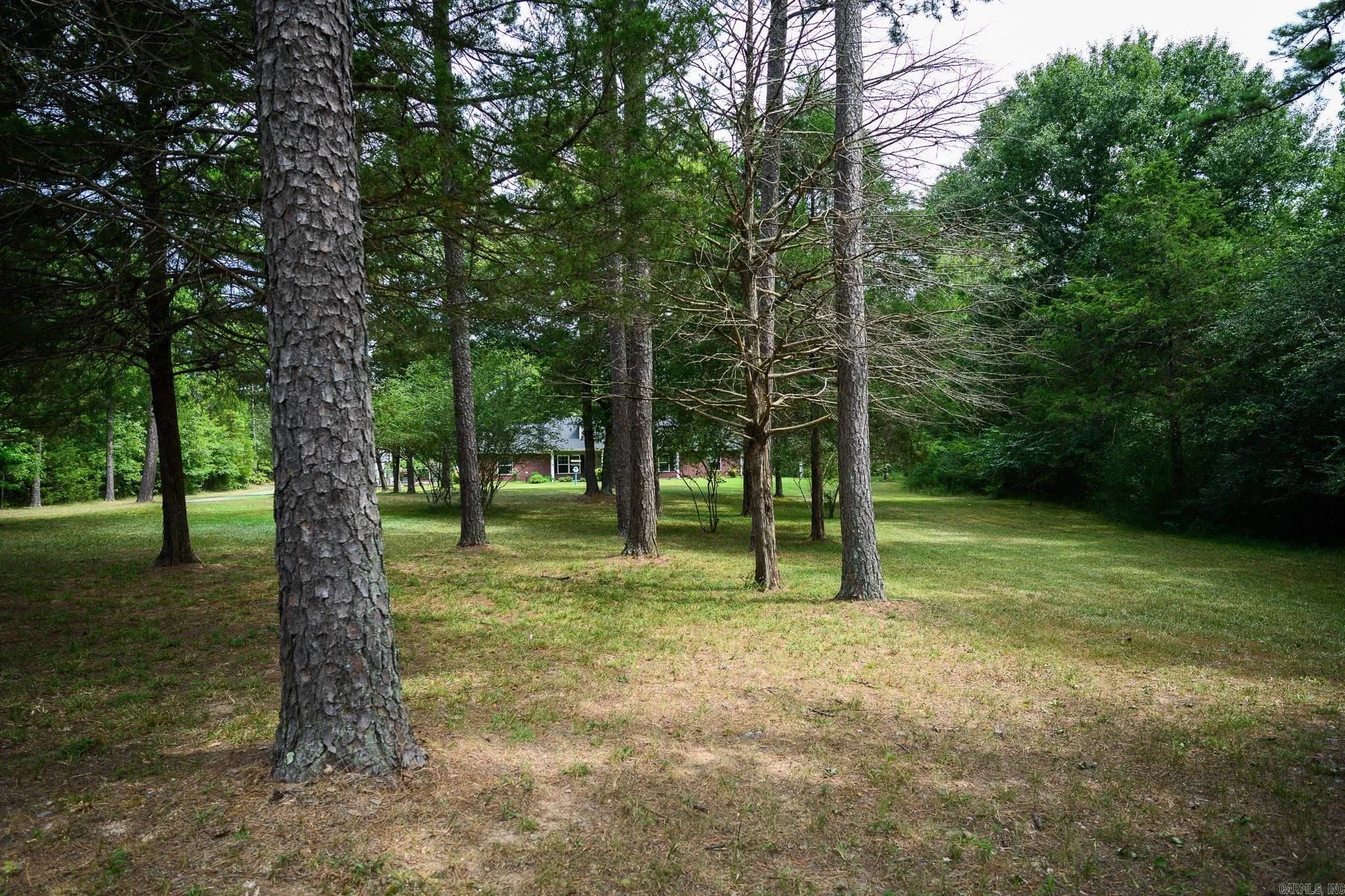 Property at 2707  Highway 88 - Image 8