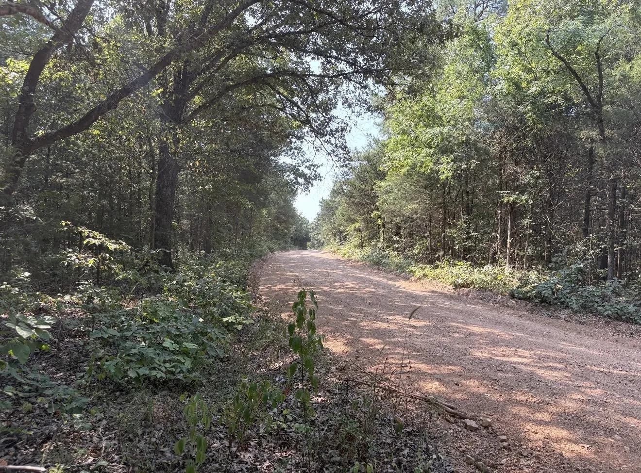 Property at TBD  Shands - Image 27