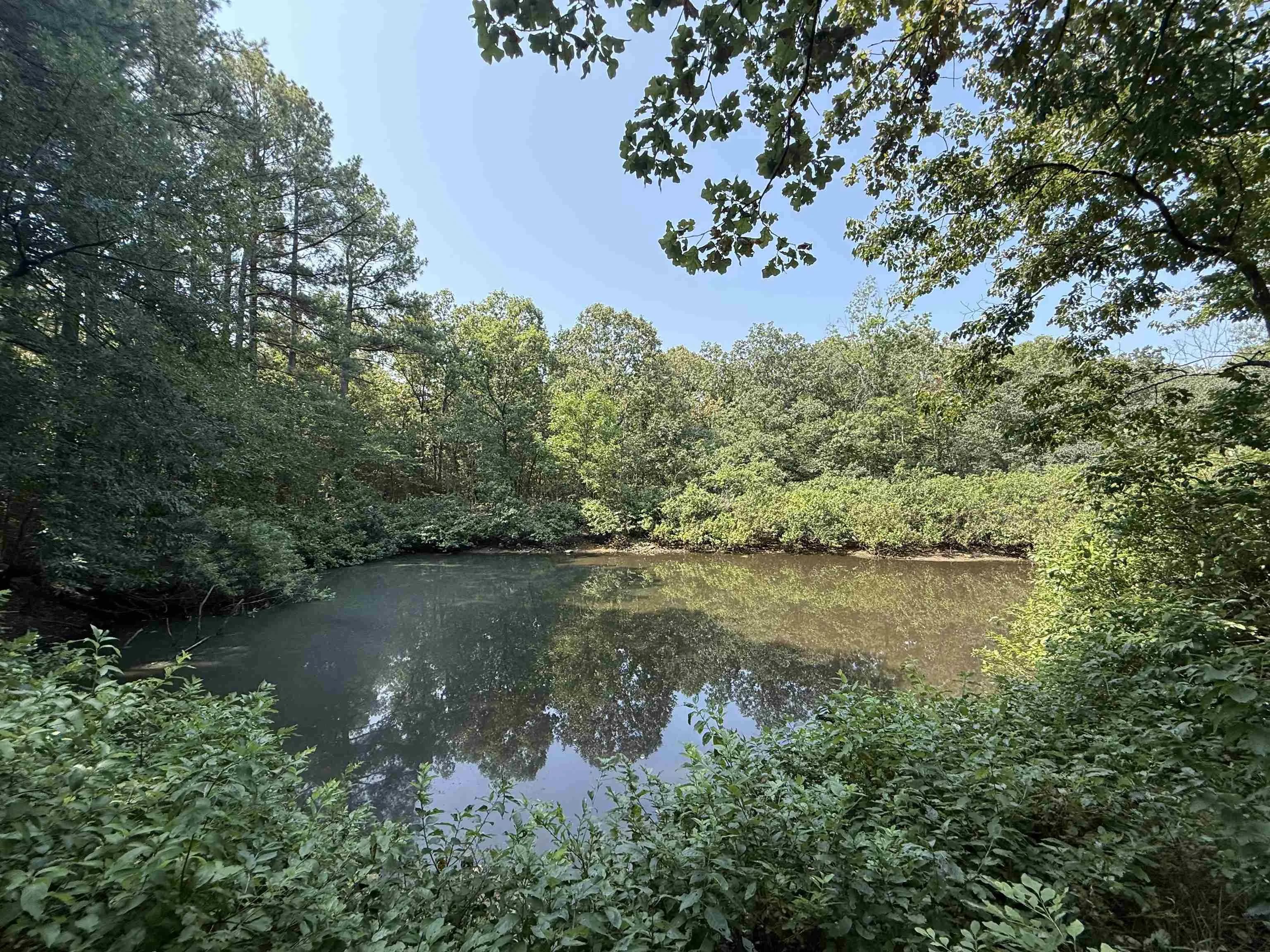 Property at TBD  Shands - Image 4