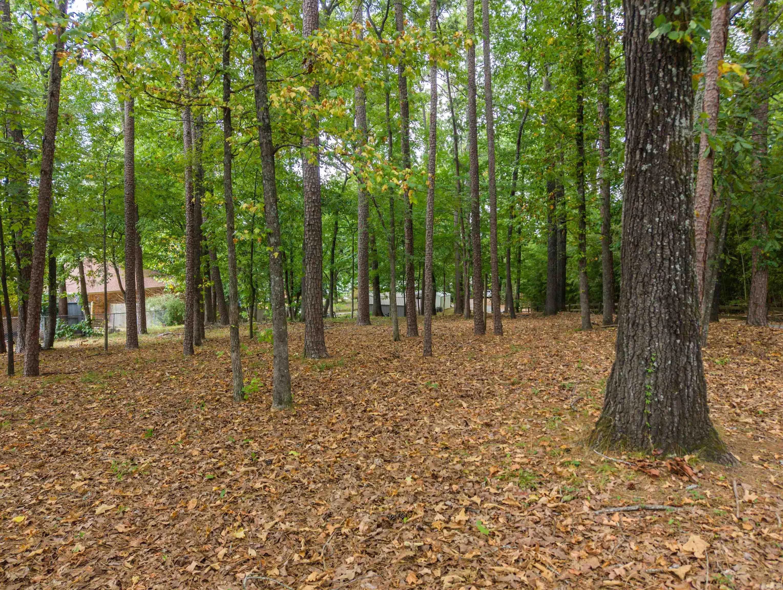 Property at 130  Brundage - Image 50