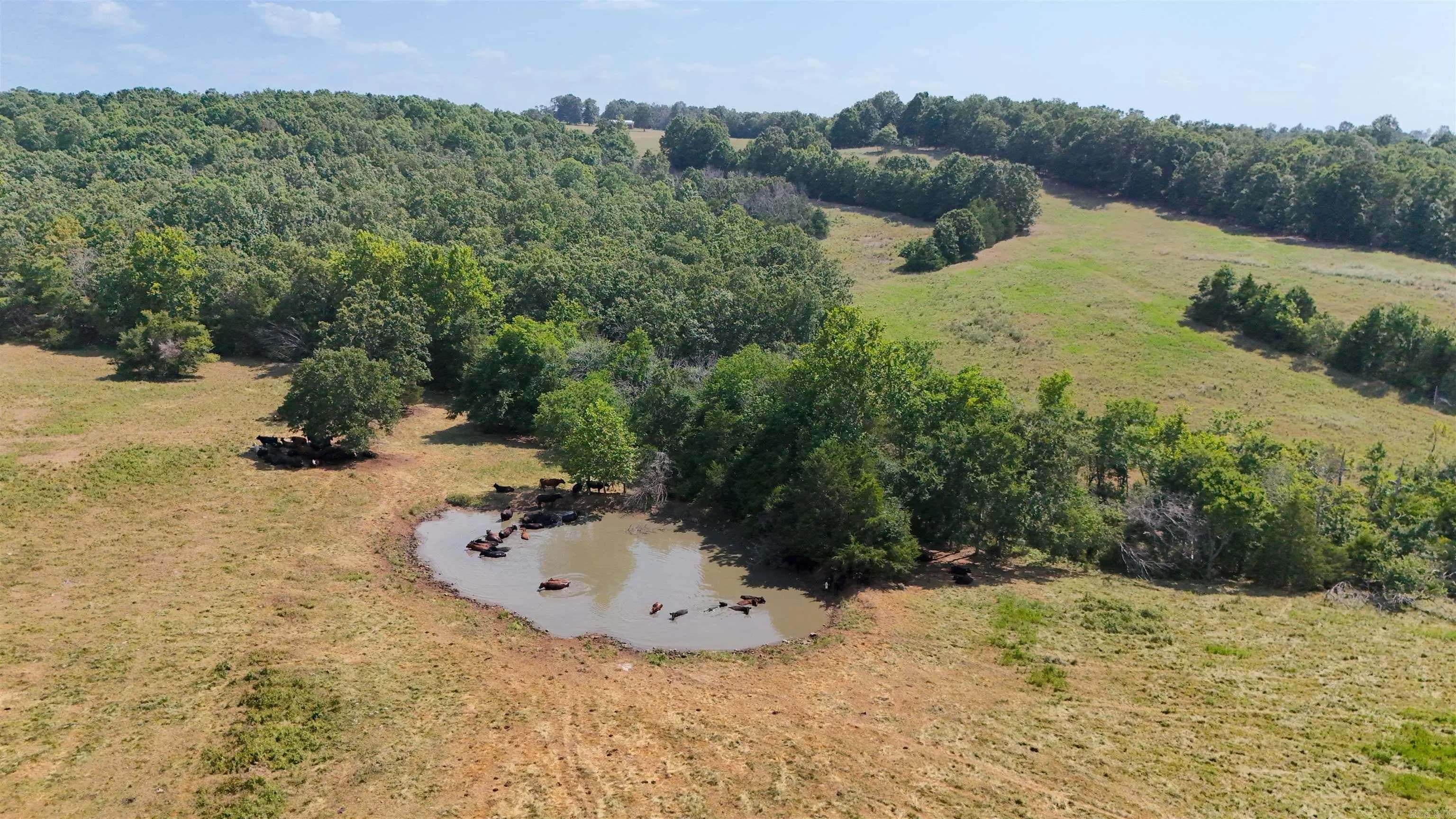 Property at 0  Corinth rd - Image 6