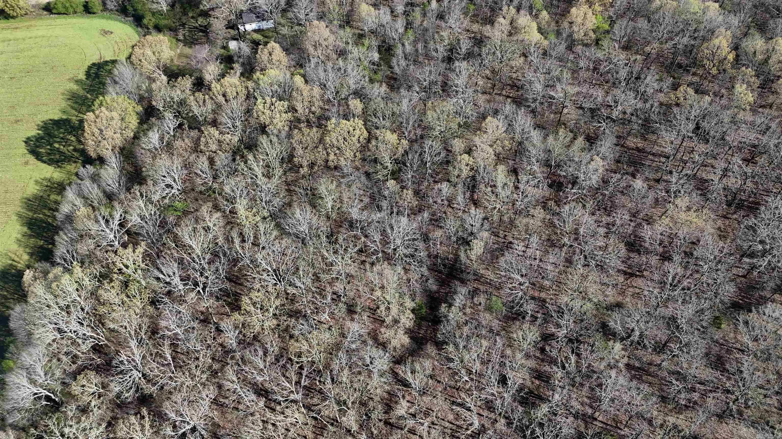 Property at 122  Owens ln. - Image 12