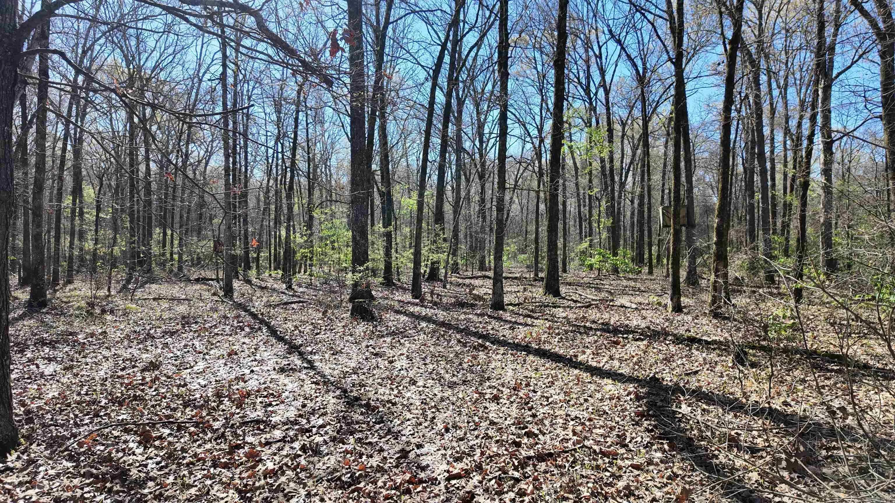 Property at 122  Owens ln. - Image 38
