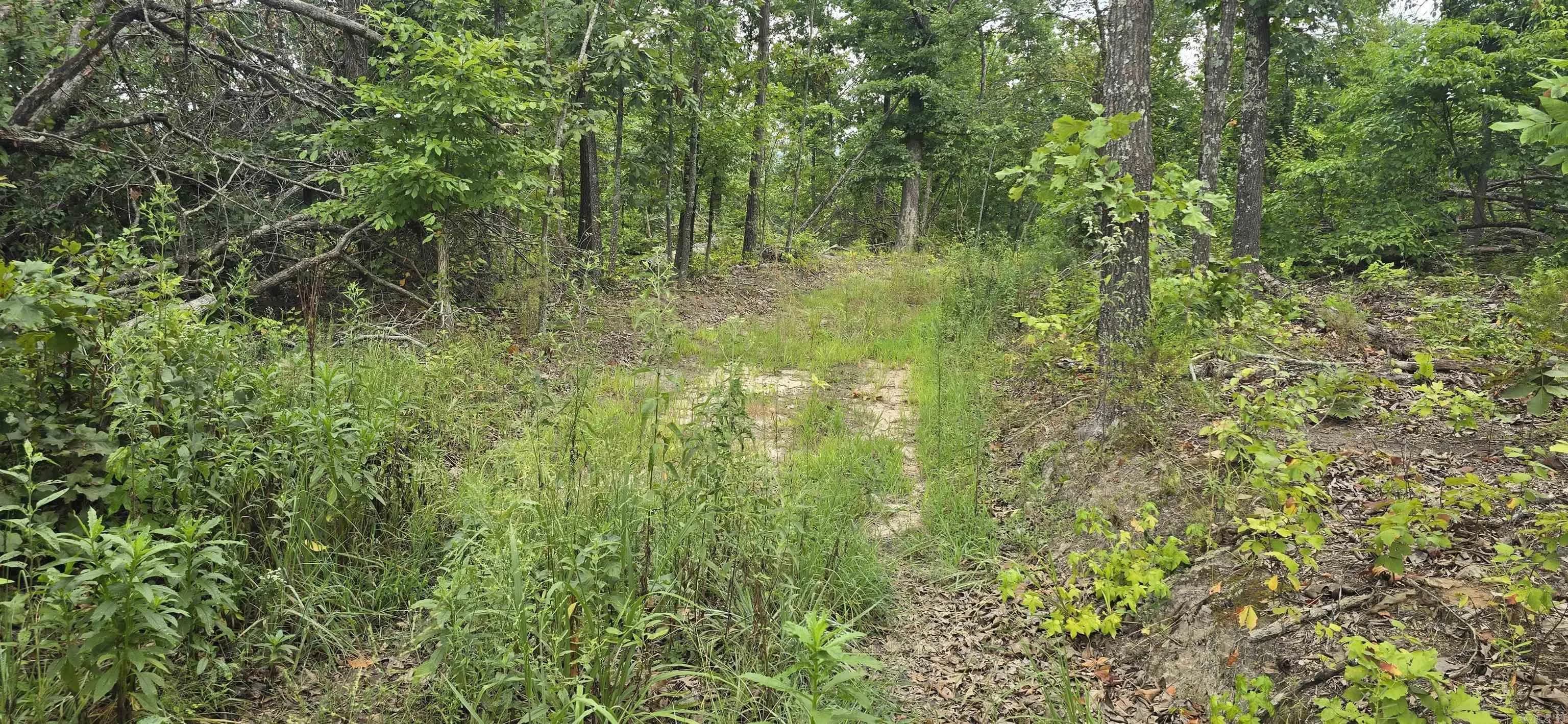 Property at 0  Jumbo - Image 7