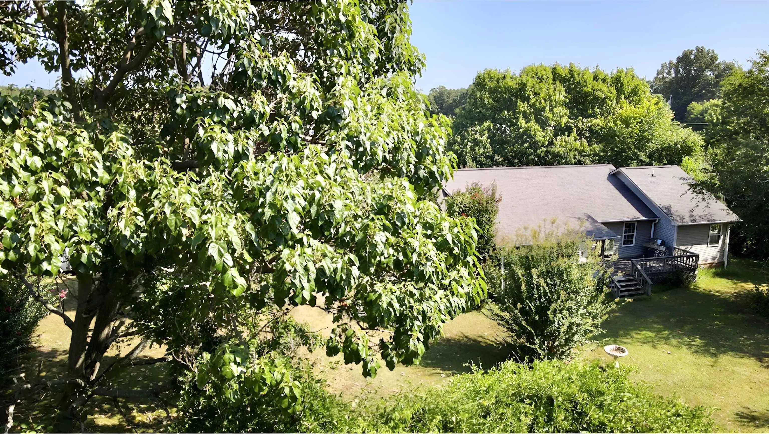 Property at 4137  State highway 289 - Image 36
