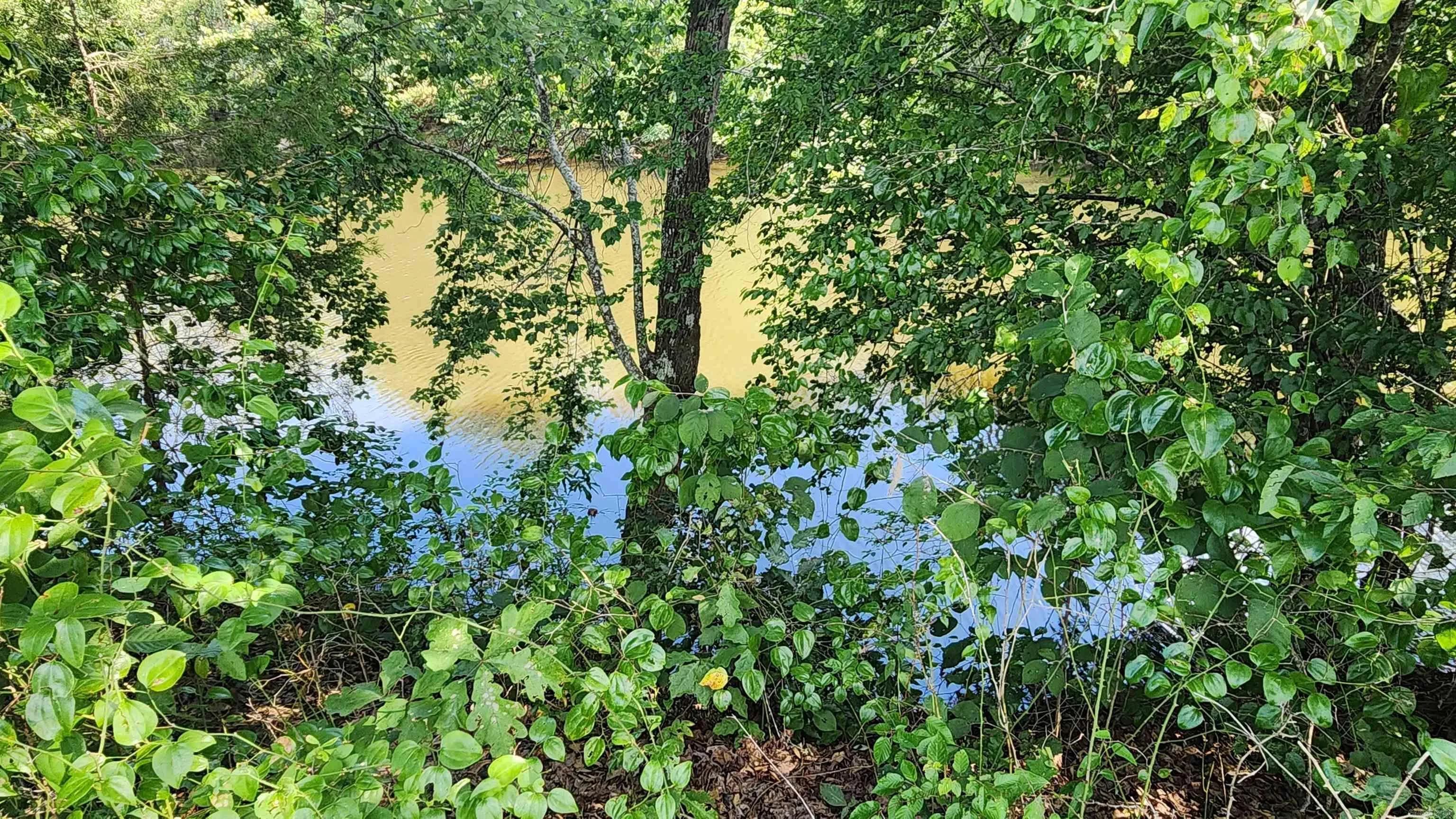Property at 157 (Lot 09)  Reva's way - Image 2