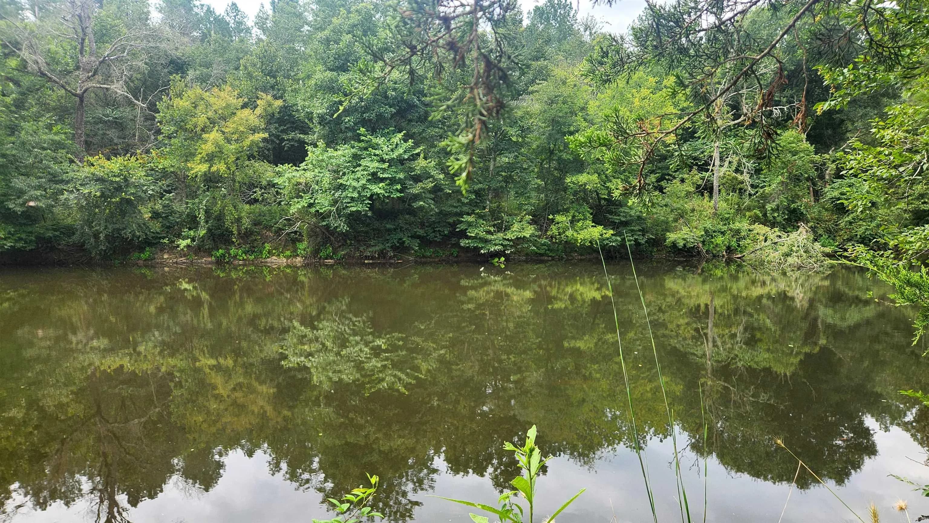 Property at 157 (Lot 09)  Reva's way - Image 4