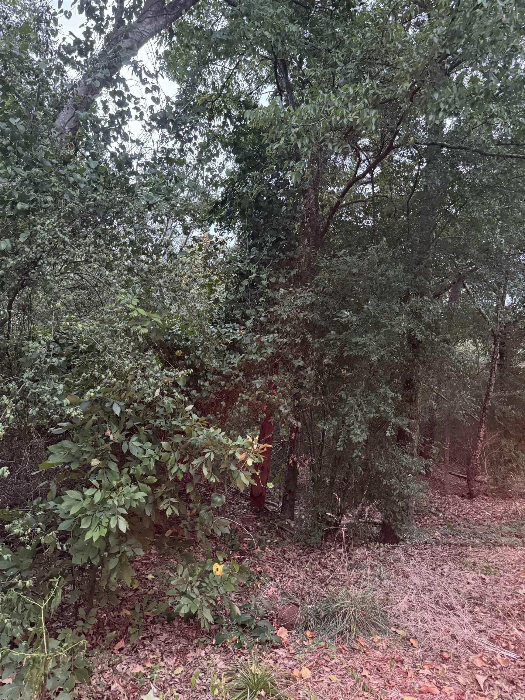 Property at Lot 26  Lee summit dr. - Image 6