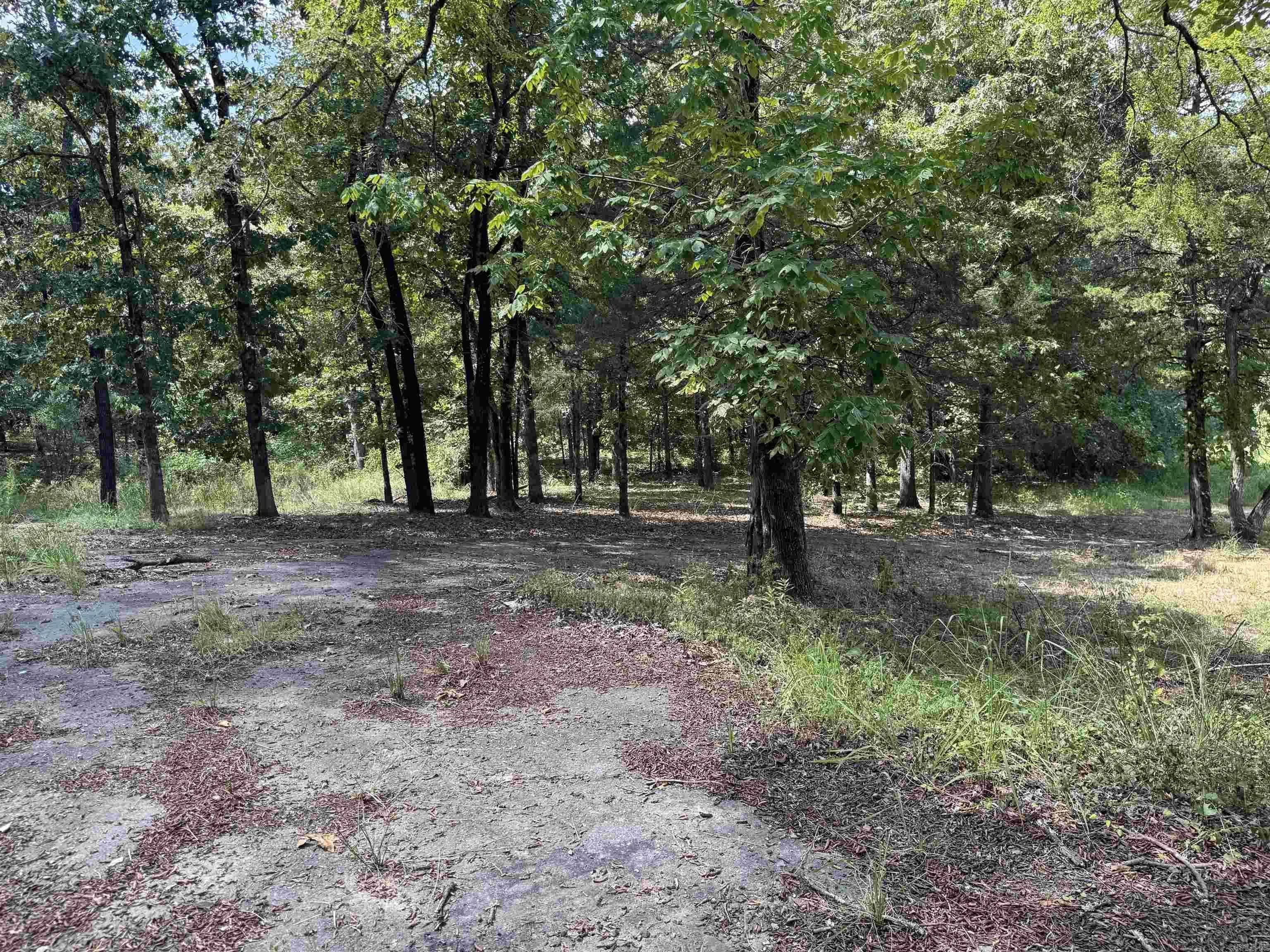 Property at 12213 & 12303  Sumner cemetery - Image 13