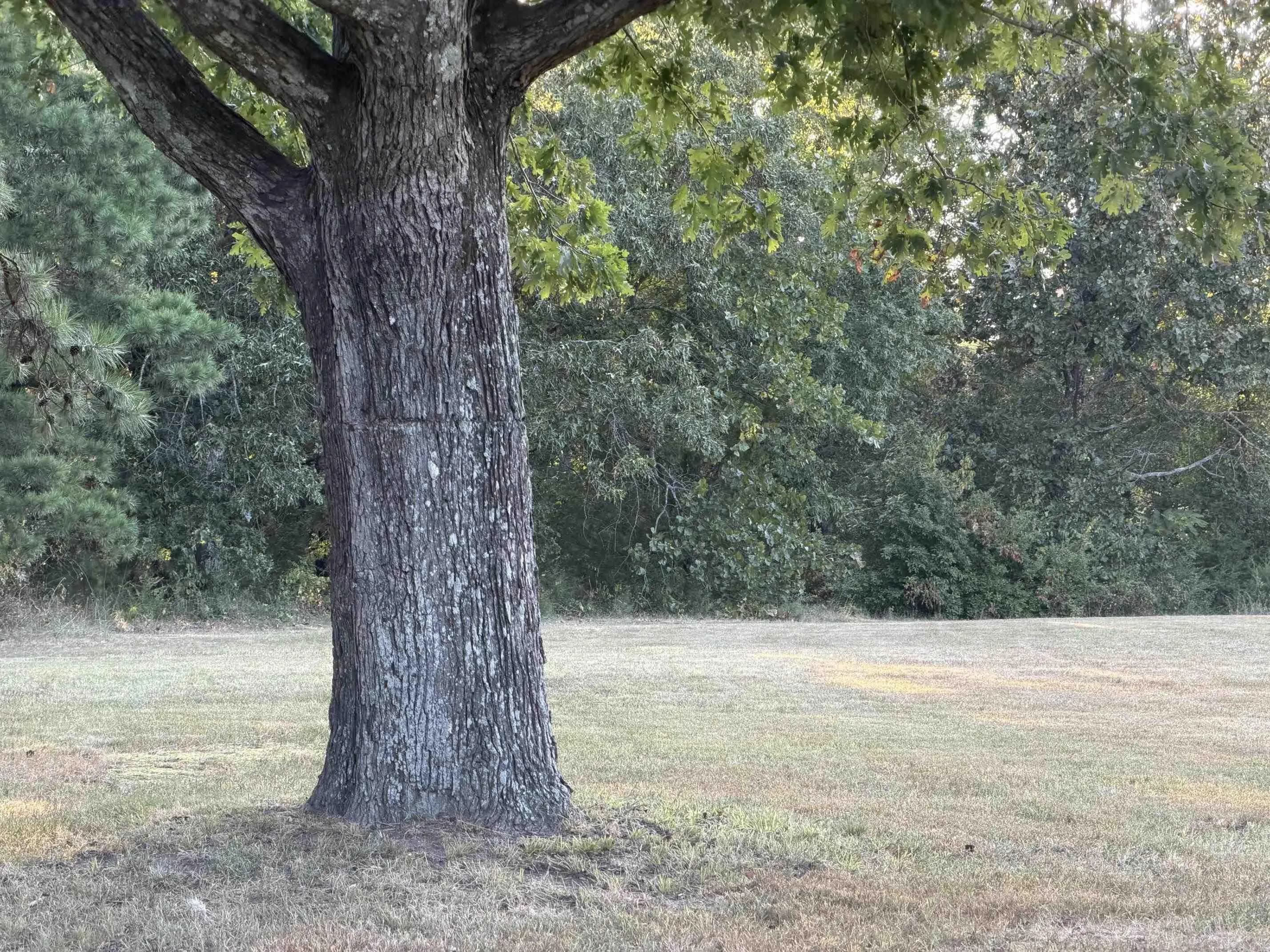 Property at 650  Heber springs rd w - Image 11
