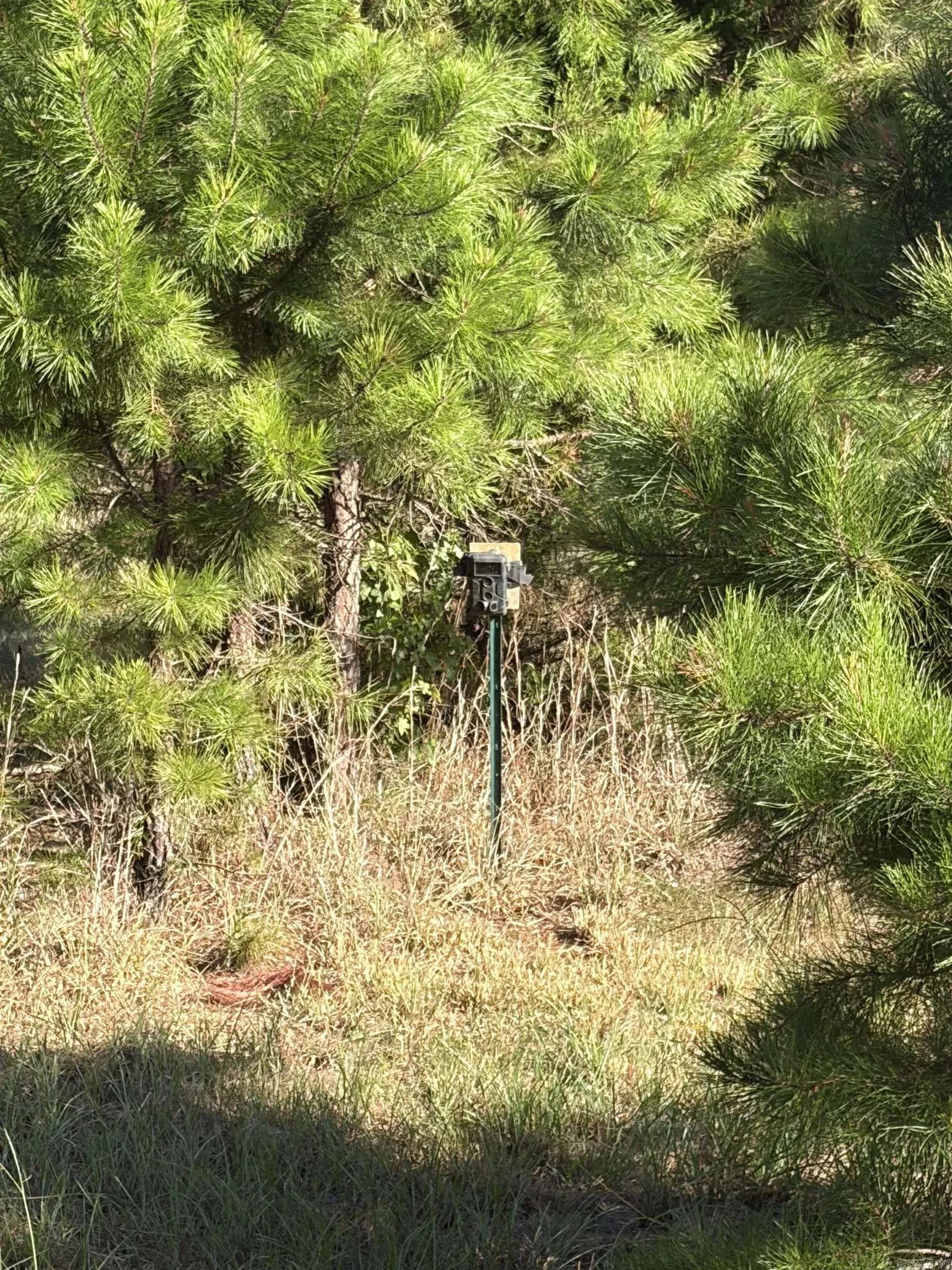 Property at 1355 W Highway 246 - Image 38