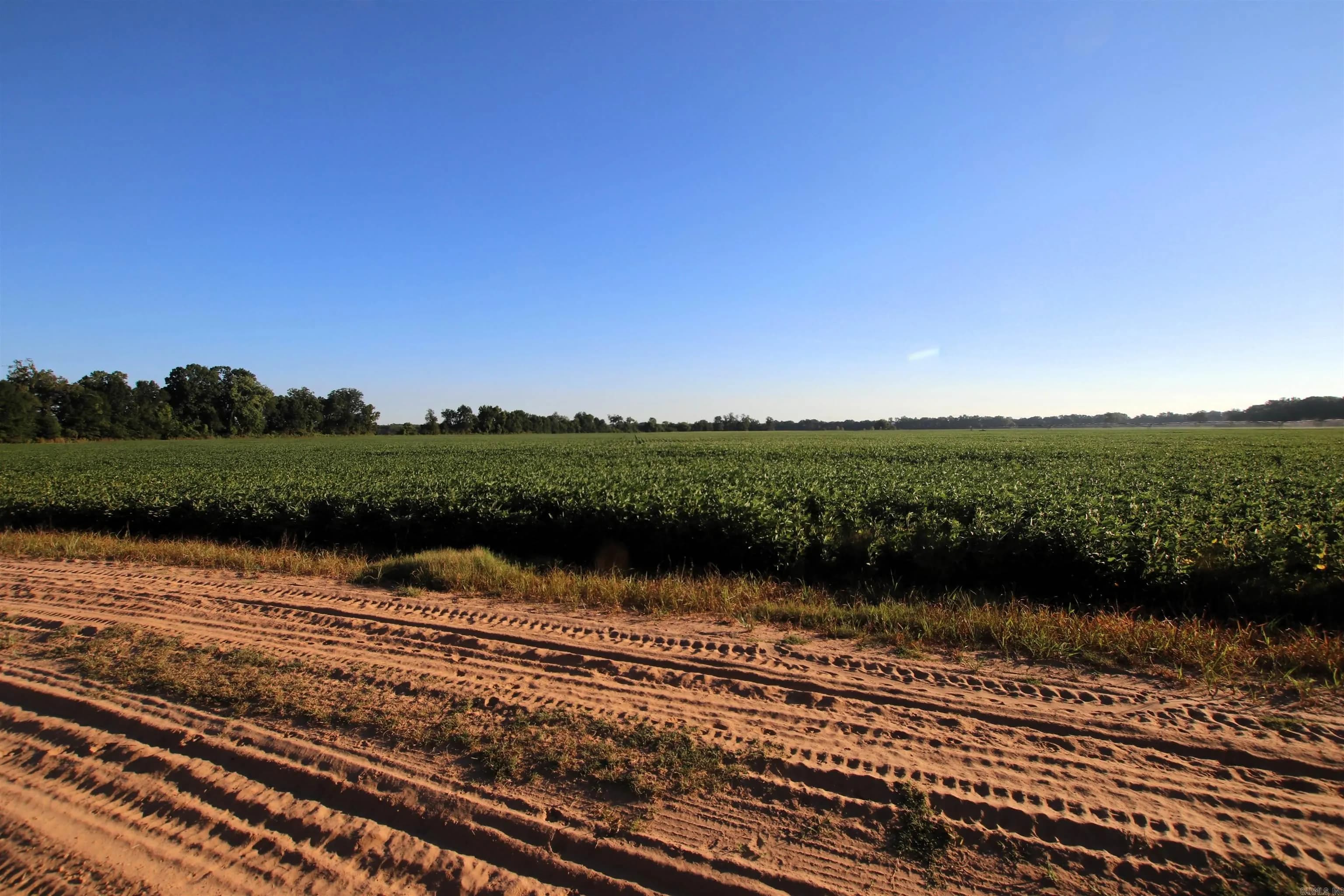 Property at 000  Bottoms - Image 27