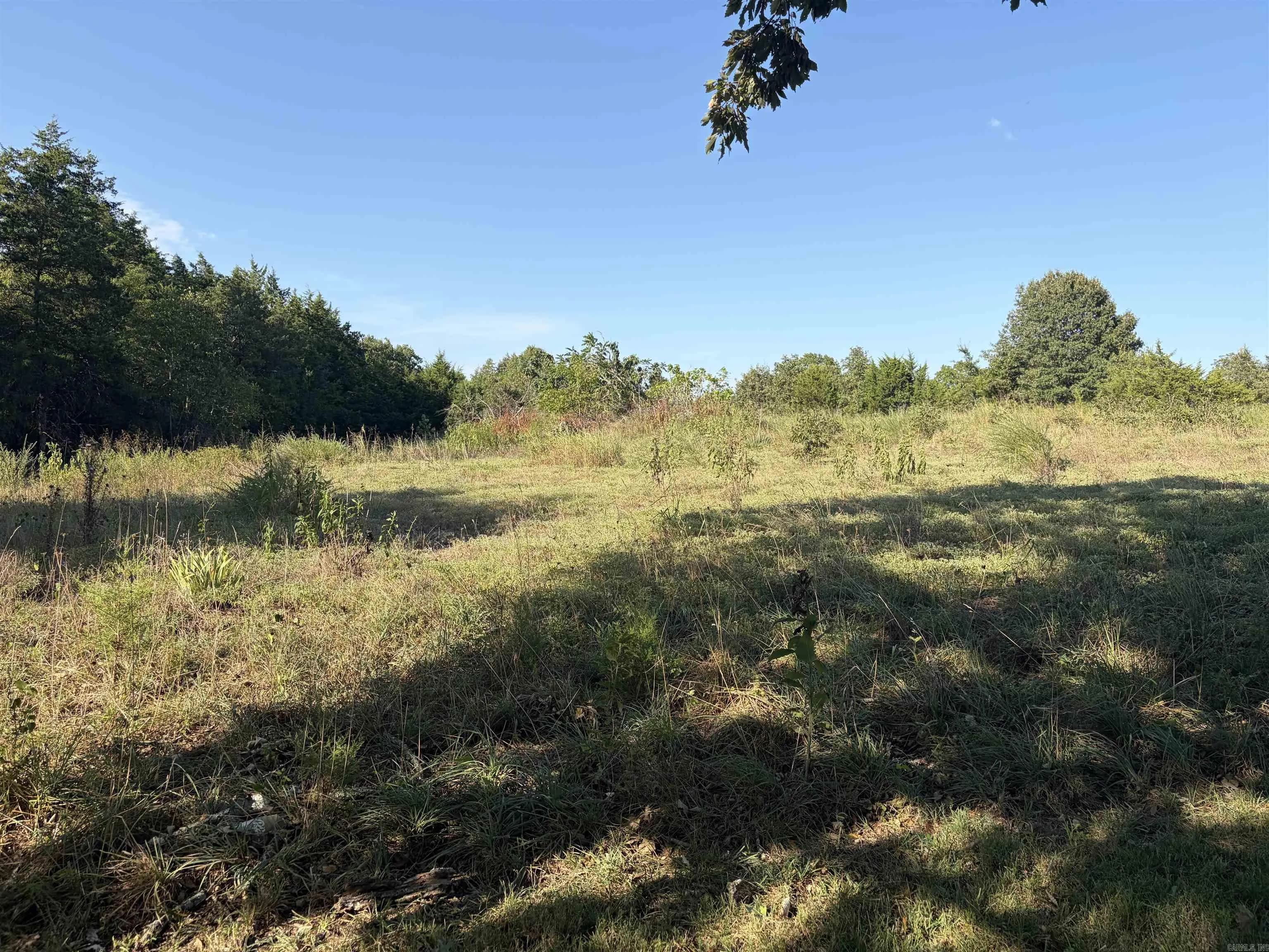 Property at 8951  Mount calm road - Image 8