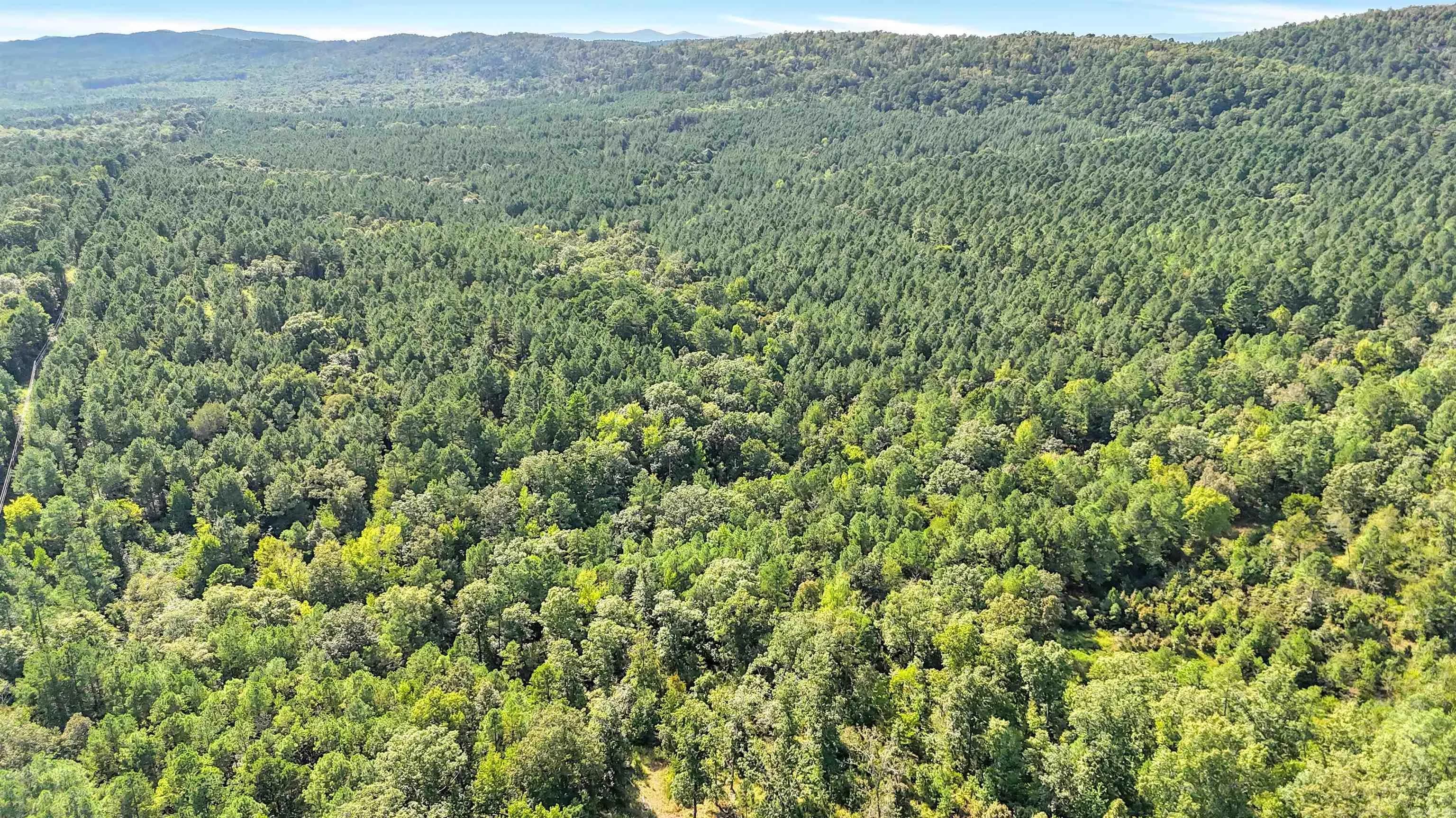 Property at 14 AC  Chicot - Image 4