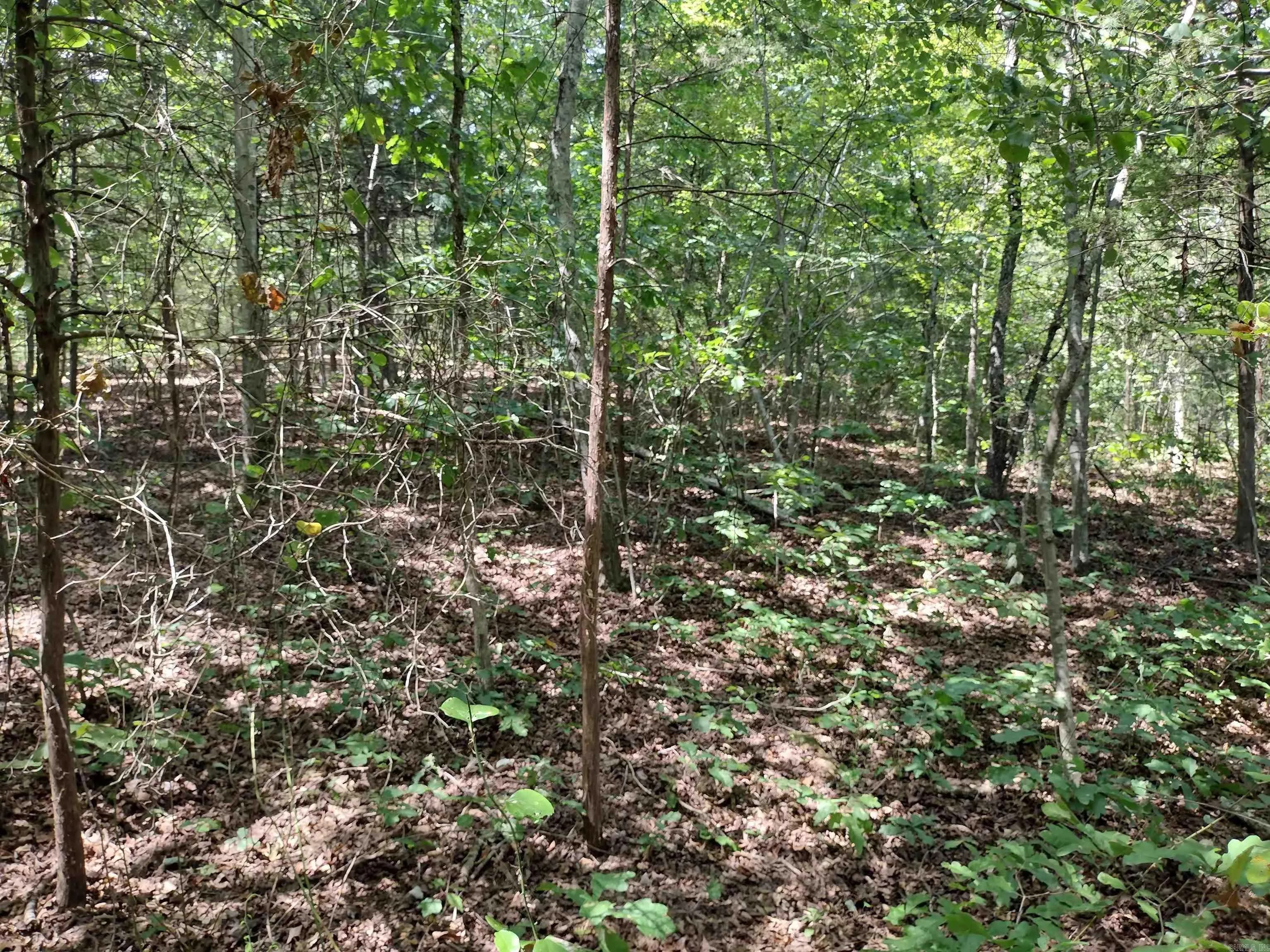 Property at 00  Hwy 9 - Image 6