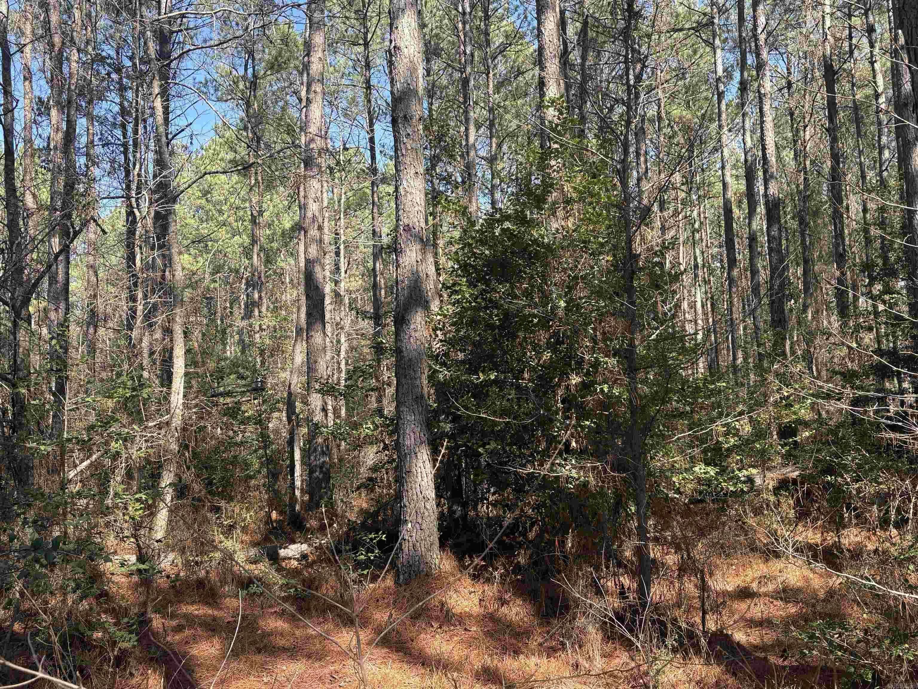 Property at 0  Hwy 46 n - Image 7