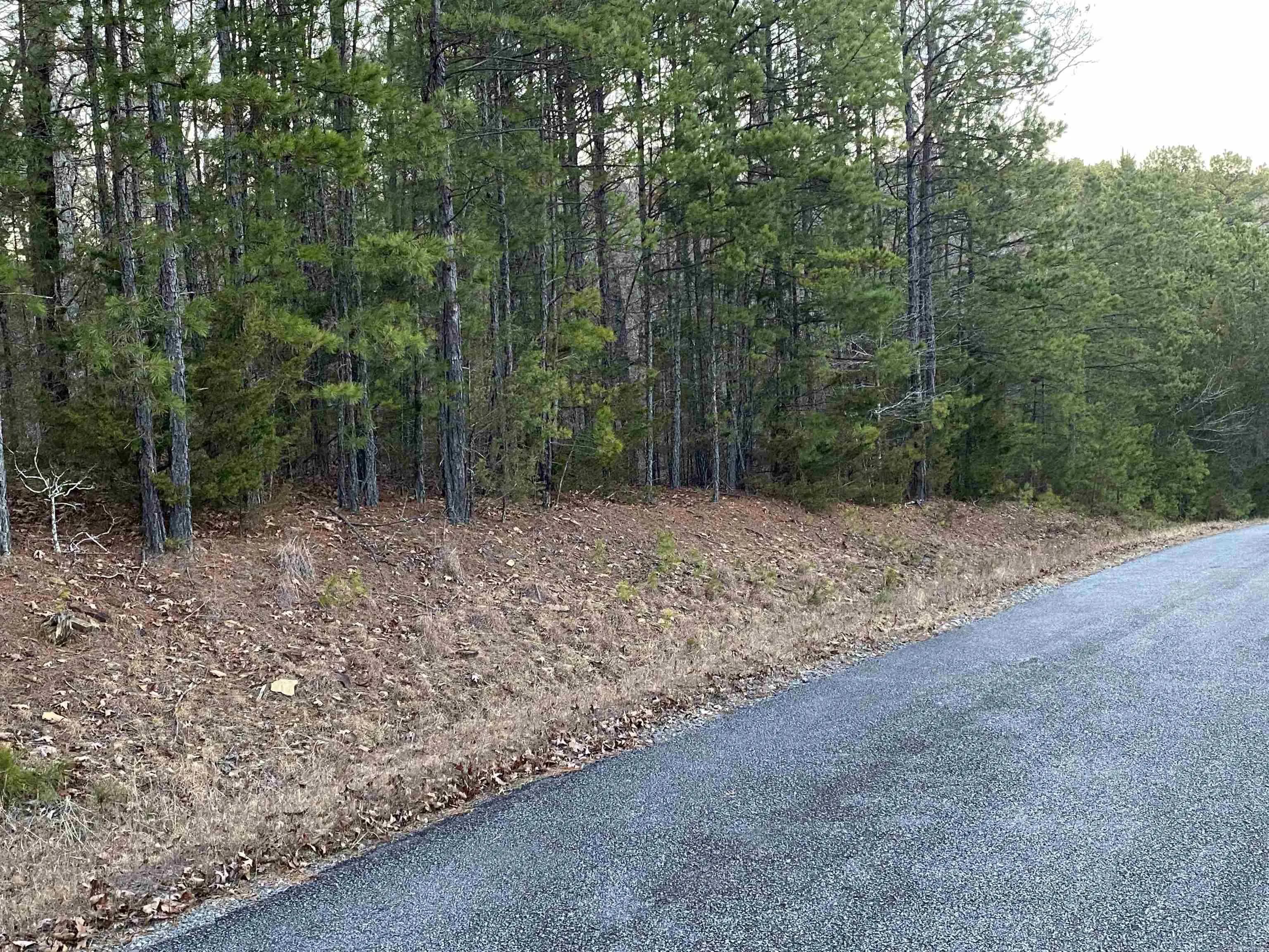 Property at 16.61 Acres  Mountain park road - Image 8