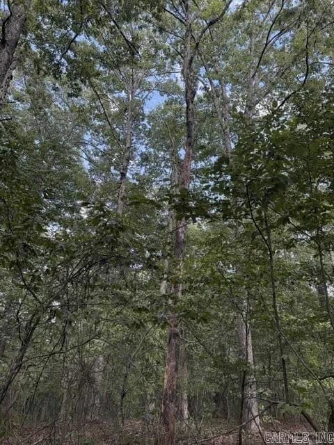 Property at 000  Cr #4490 / low gap road - Image 2