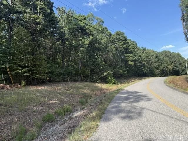 Property at 000  Cr #4490 / low gap road - Image 4