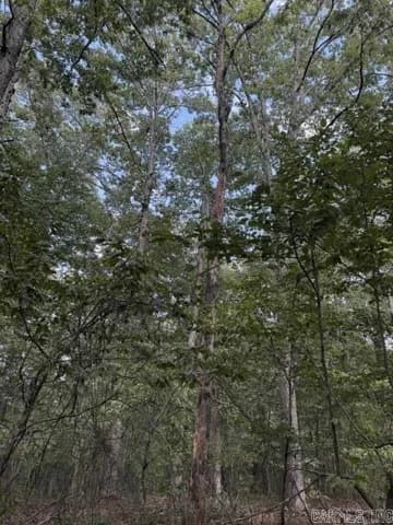 Property at 000  Cr #4490 / low gap road - Image 2