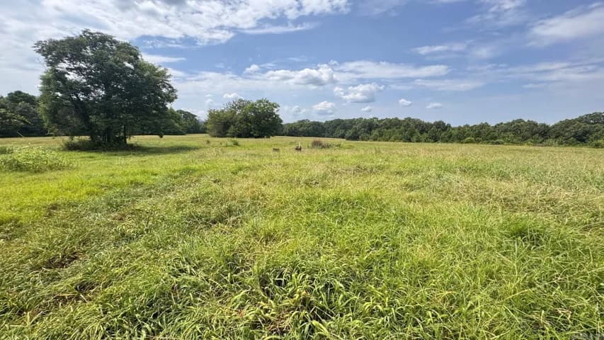Property at 262  Hc 32 - Image 5