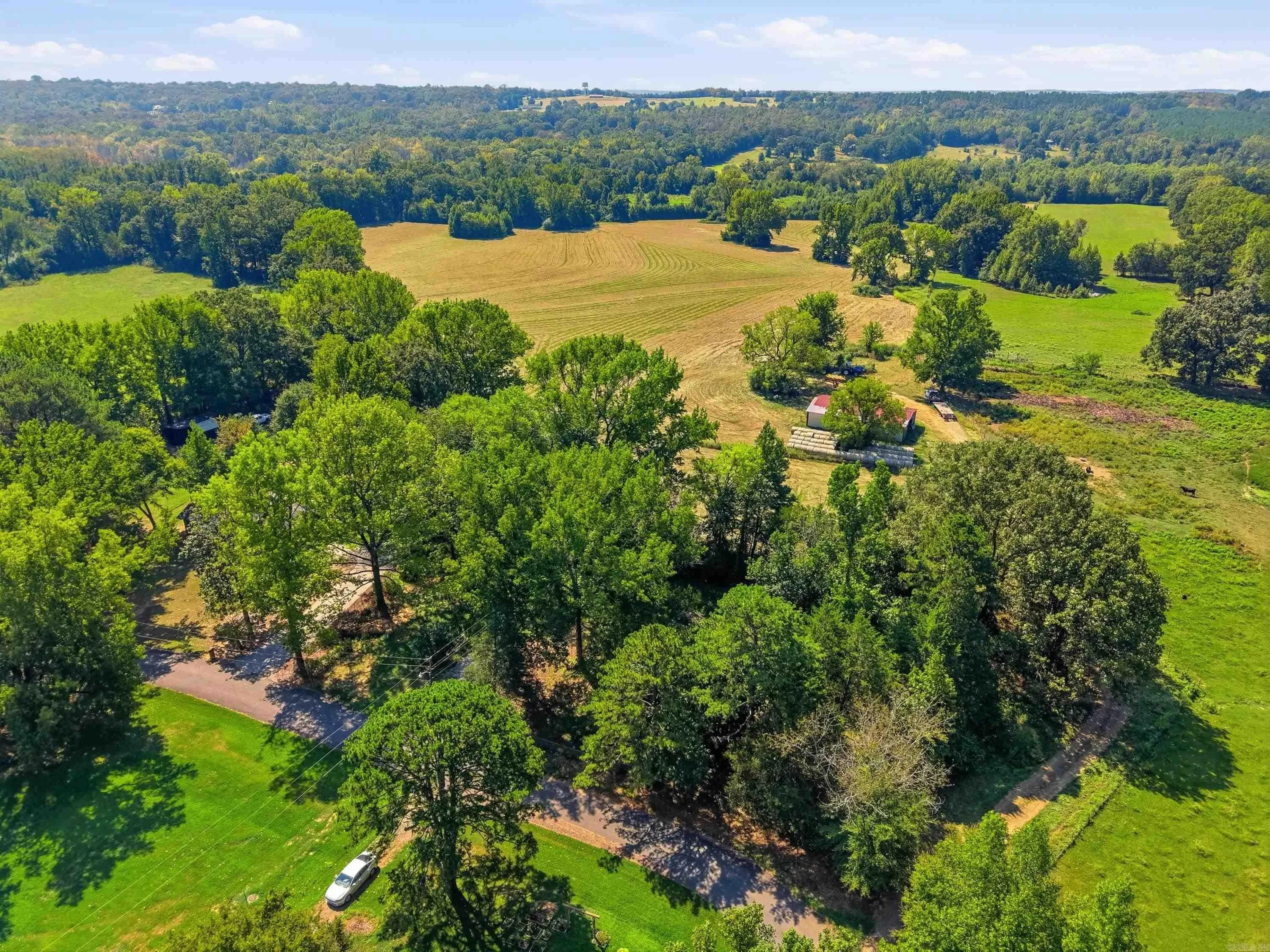 Property at 24 W Mobbs - Image 8