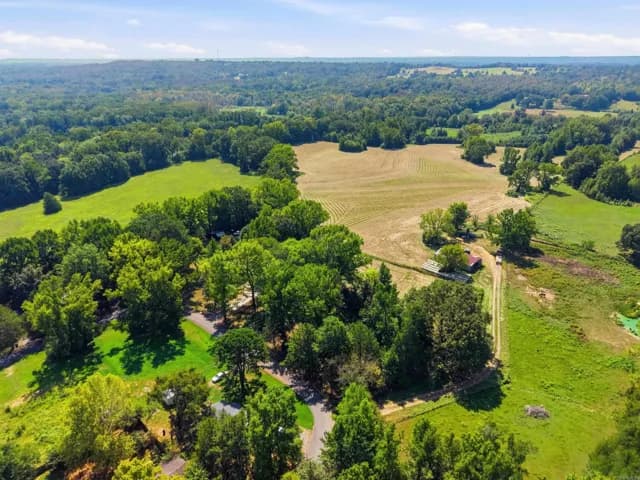 Property at 24 W Mobbs - Image 15