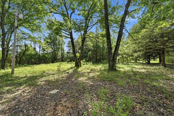 Property at 24 W Mobbs - Image 4